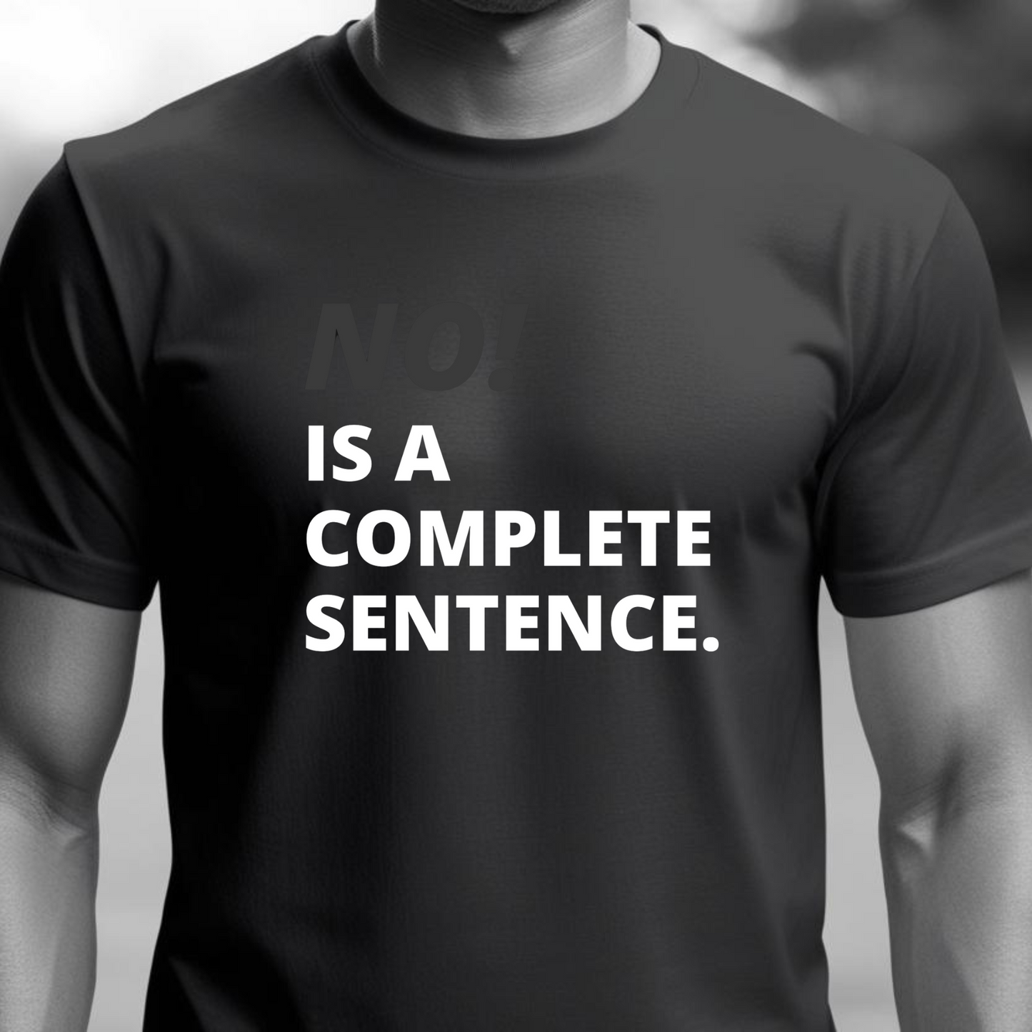 NO! Is a Complete Sentence T-Shirt – Do Not Disturb Streetwear